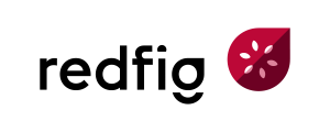 Redfig - SAP Problem Solvers
